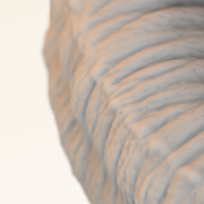elephant skin thumbnail