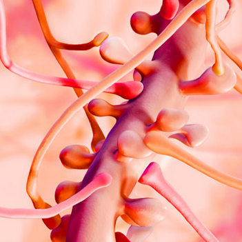 synapse illustration thumbnail by michelle davis