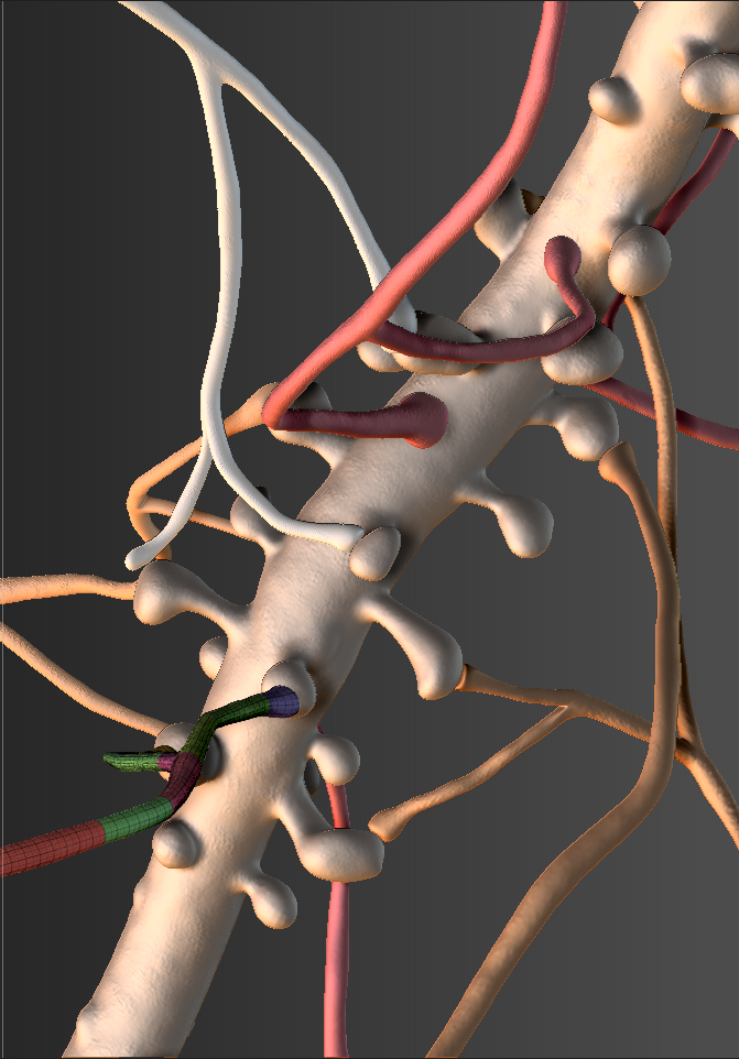 Dendrite zbrush screenshot