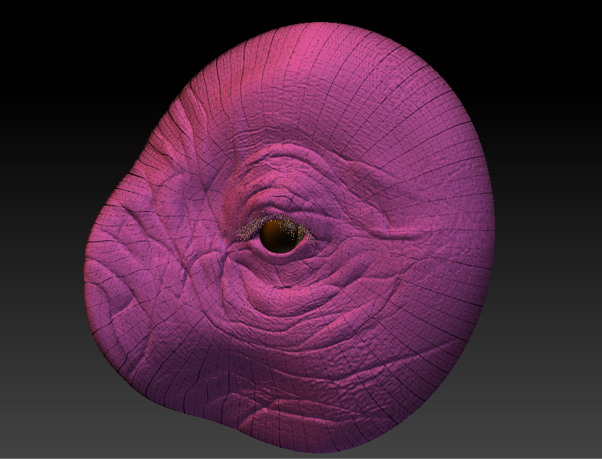 zbrush elephant eye study with faces