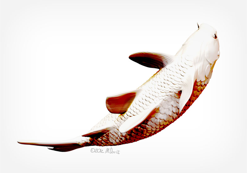 Zbrush koi study bottom view by Michelle Davis