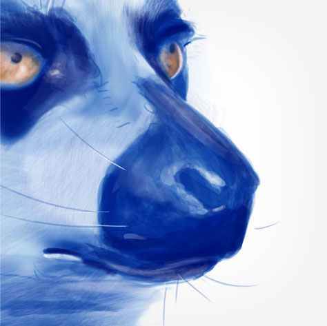 Lemur face sketch zoom by Michelle Davis