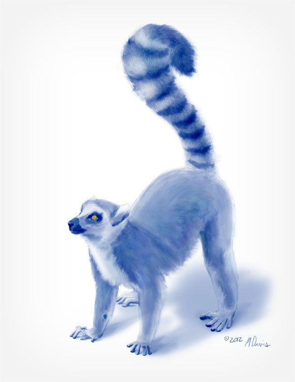 Standing Lemur Sketch by Michelle Davis