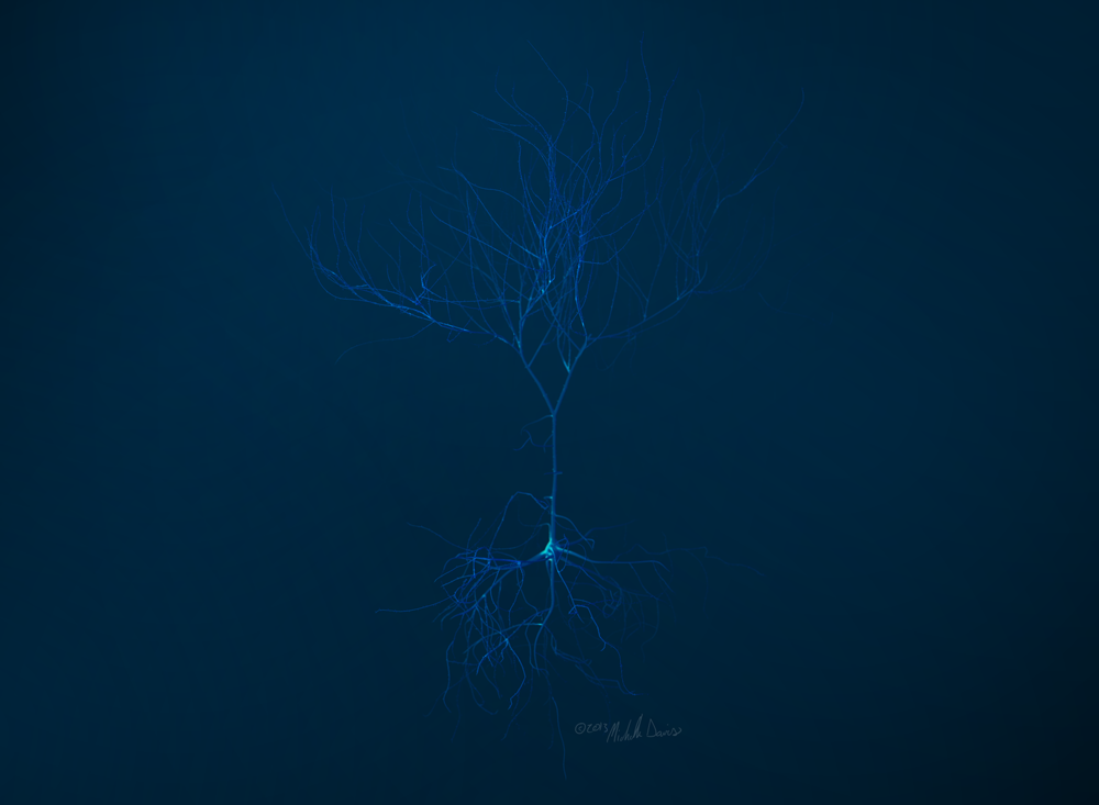 image of whole render neuron study by michelle davis