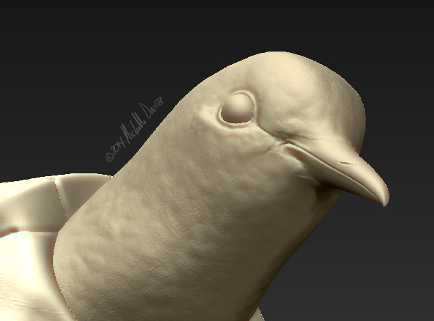 turtle-dove-mdavisstudios-web4